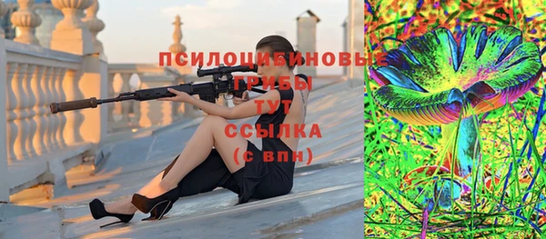 ешки Алзамай