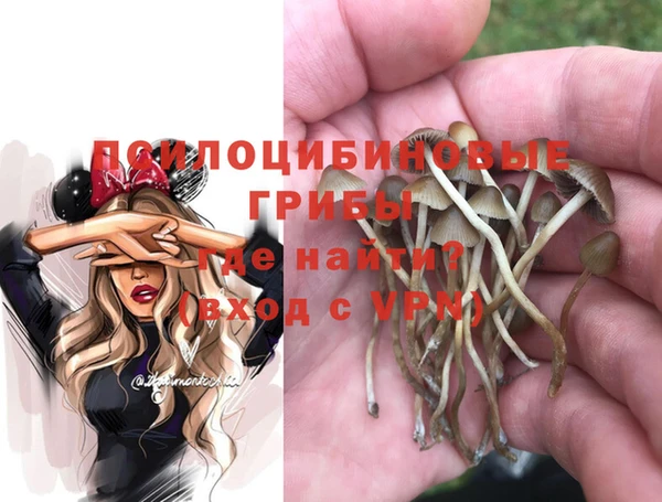 ешки Алзамай