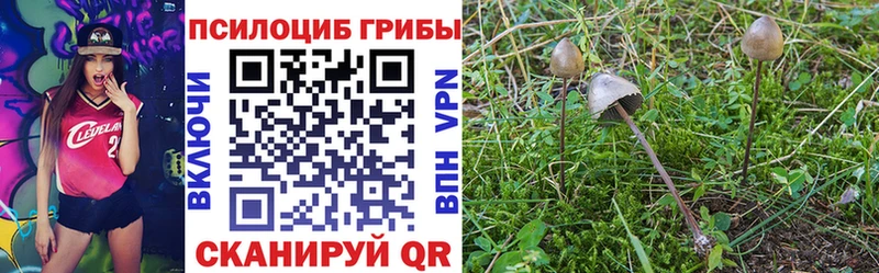 Купить где Комсомольск-на-Амуре Галлюциногенные грибы GOLDEN TEACHER